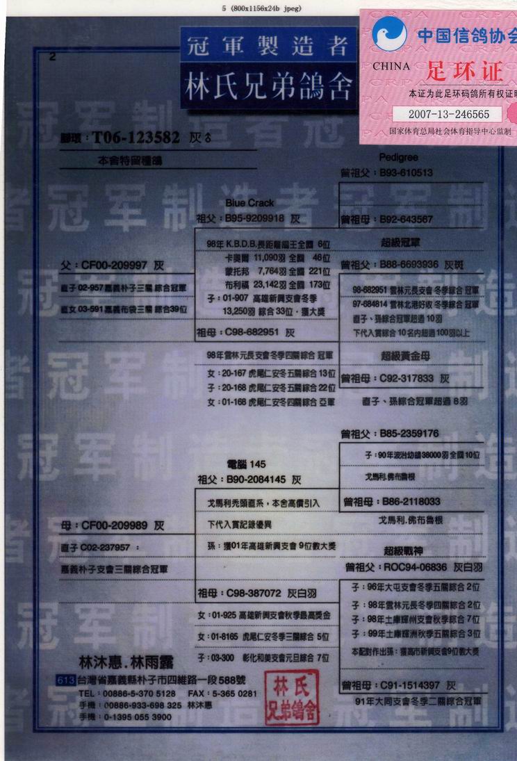 父鸽血统书