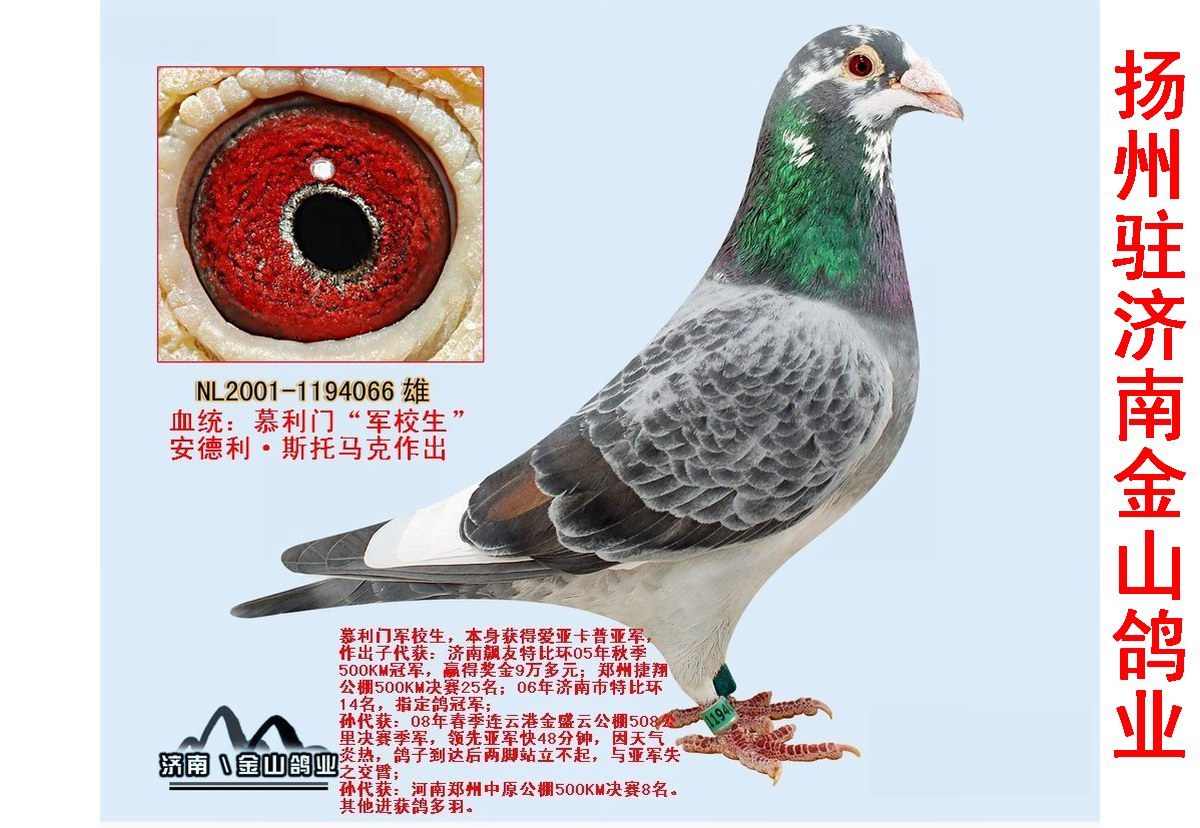 07 当前时间: 加价幅度: 300 元 血统书: 查看大图 详细介绍: 慕利门"