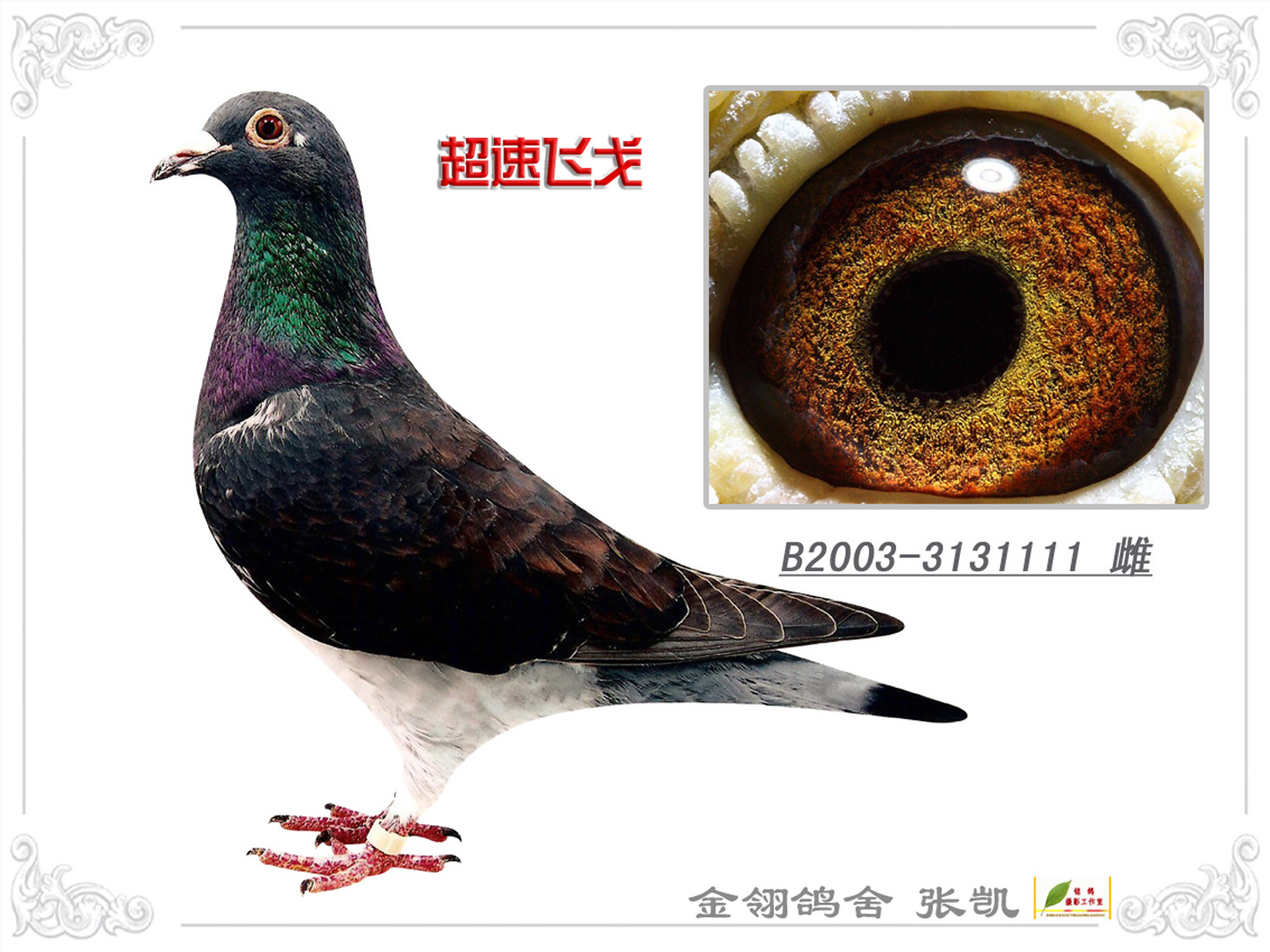 飞戈059之母