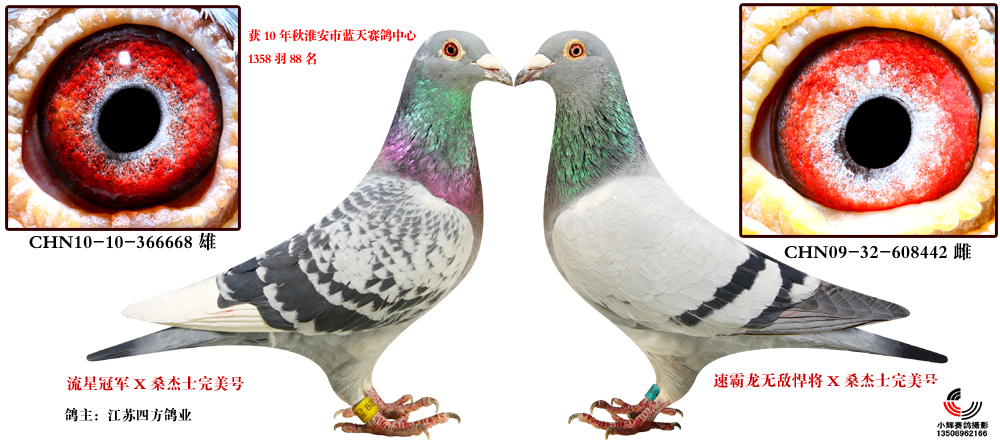9 保证金级 拍卖