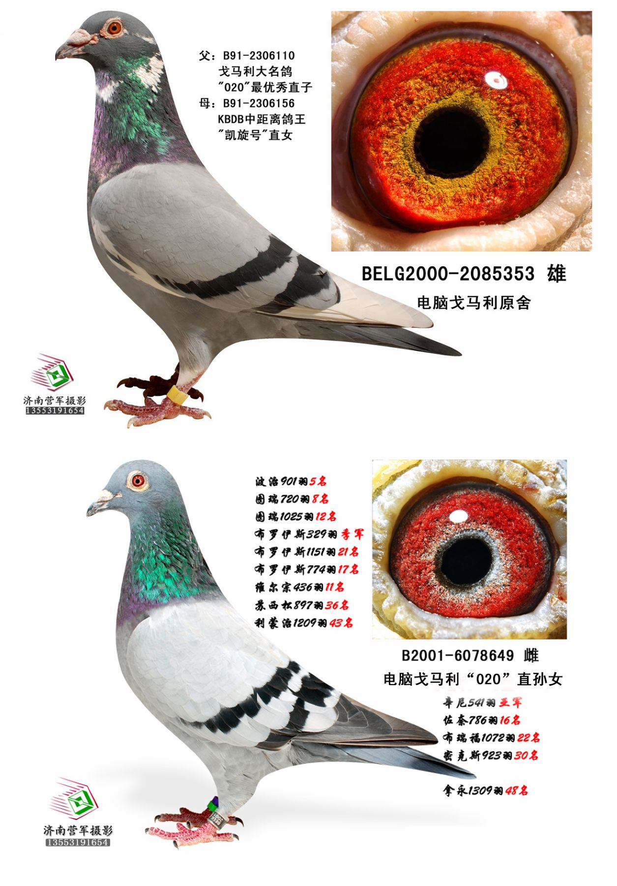 电脑戈马利"020" 保证金级 拍卖