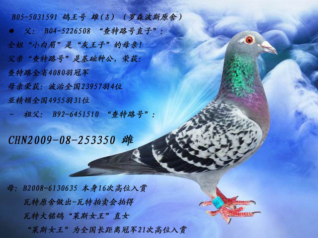 罗森·波斯查特鲁×"莱斯女王" 保证金级 拍卖