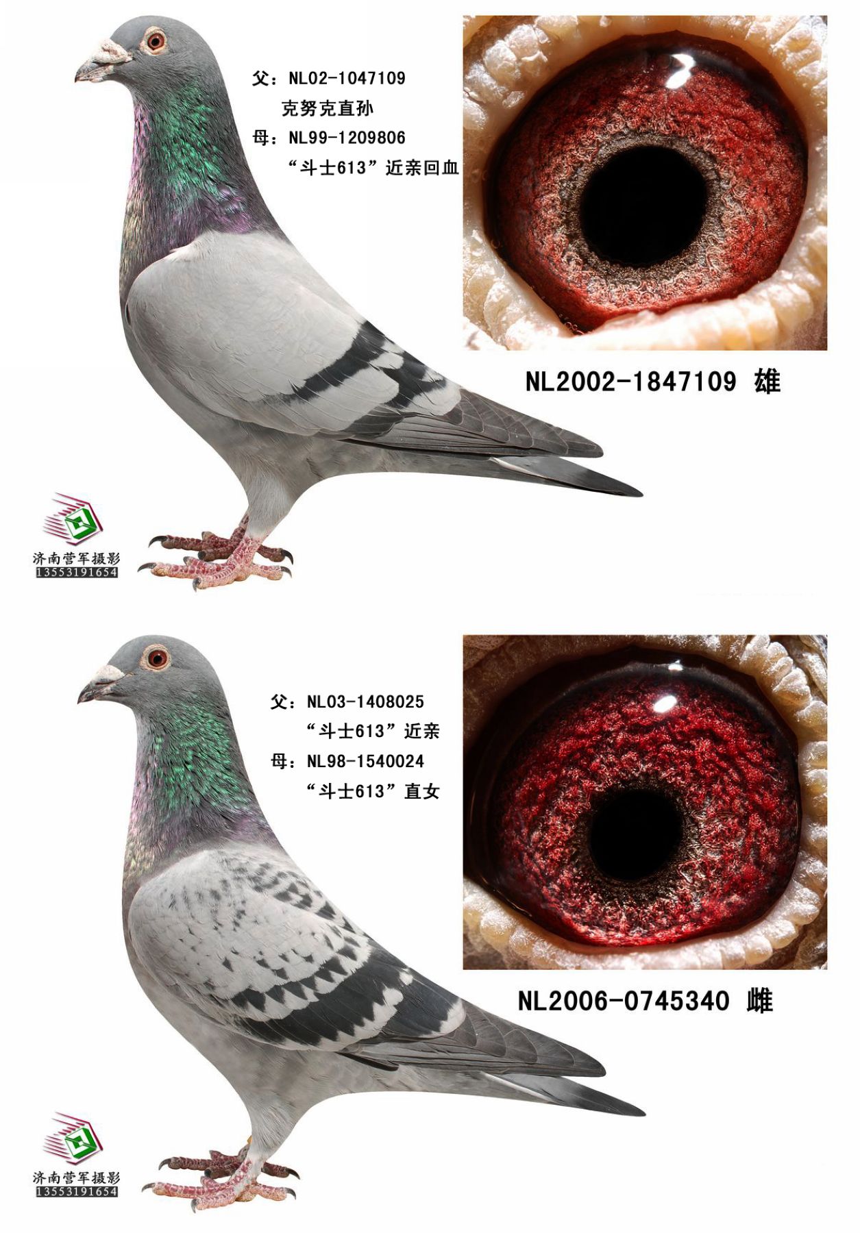 克拉克"613" 保证金级 拍卖