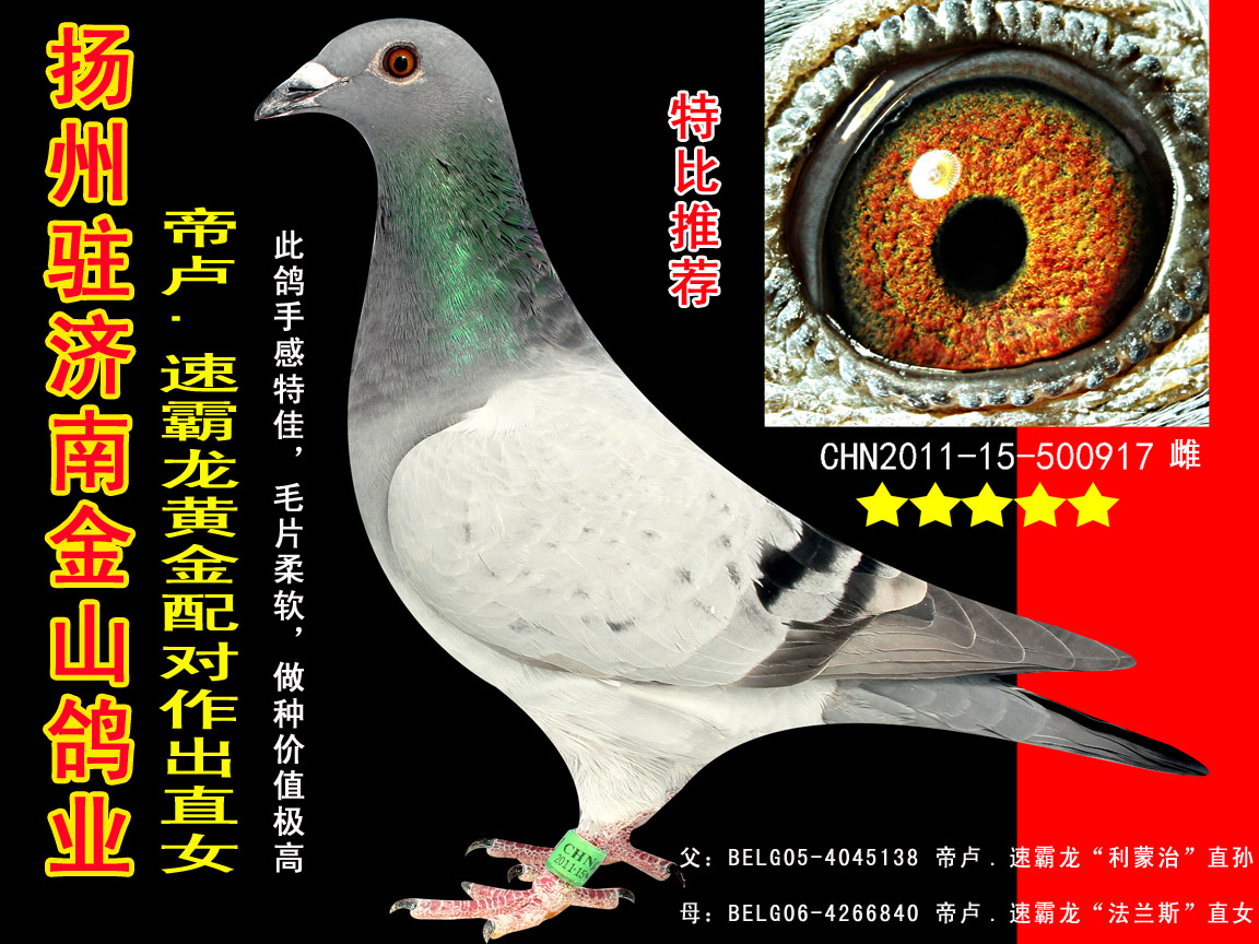 帝卢.速霸龙黄金配对作出直女 保证金级 拍卖