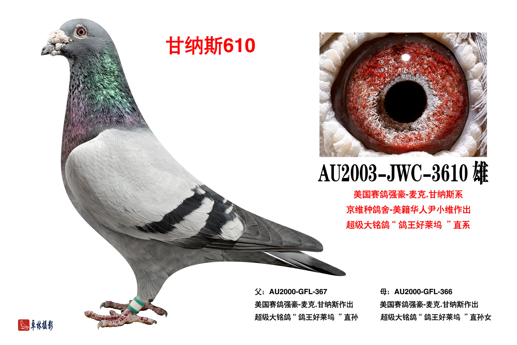 >> 查看拍卖商品