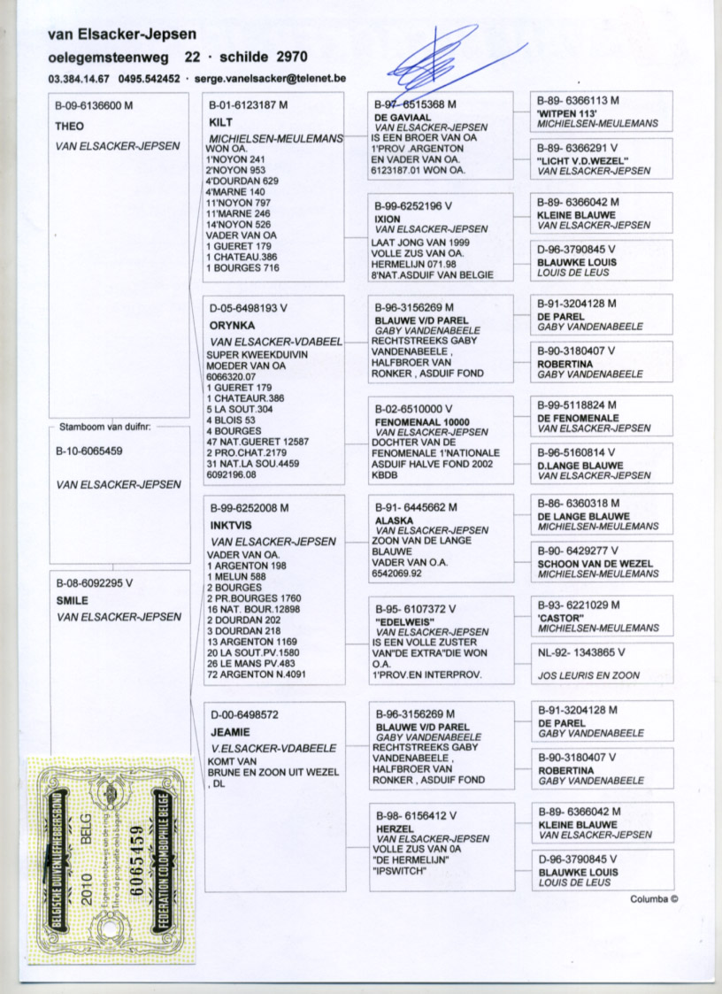X73010.jpg?t=42848.23