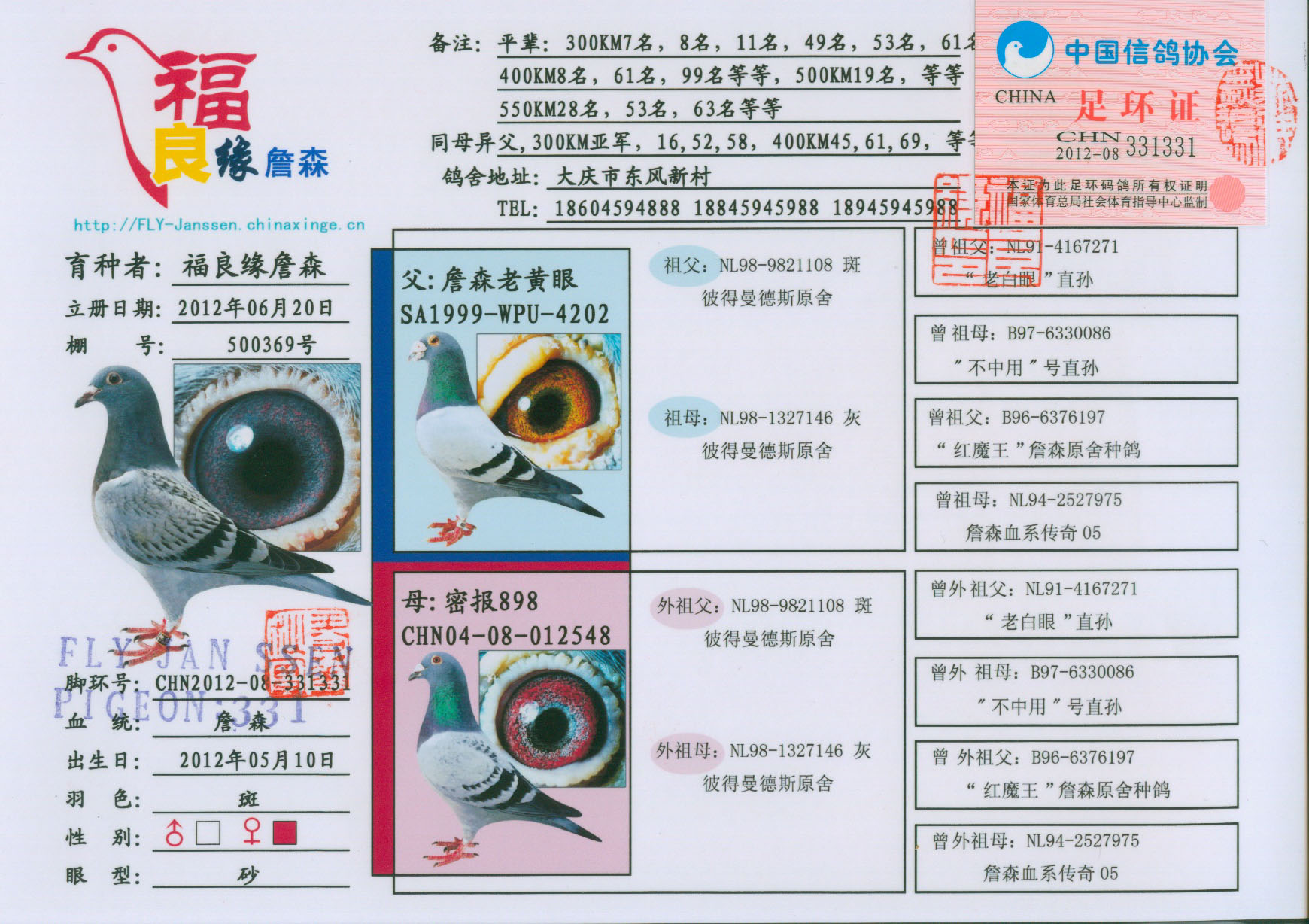 詹森传奇05回血 保证金级 拍卖