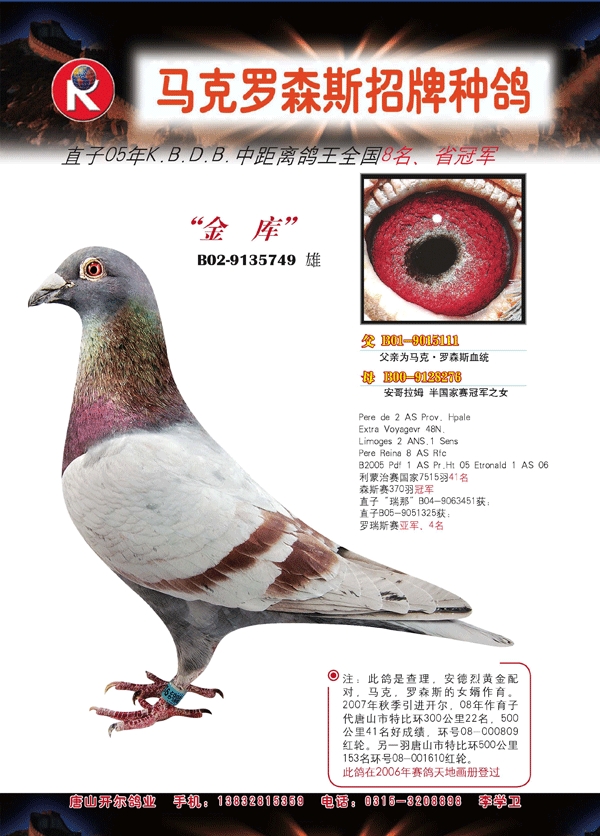 唐山开尔鸽业 - 中信网铭鸽展厅 www.ag188.com