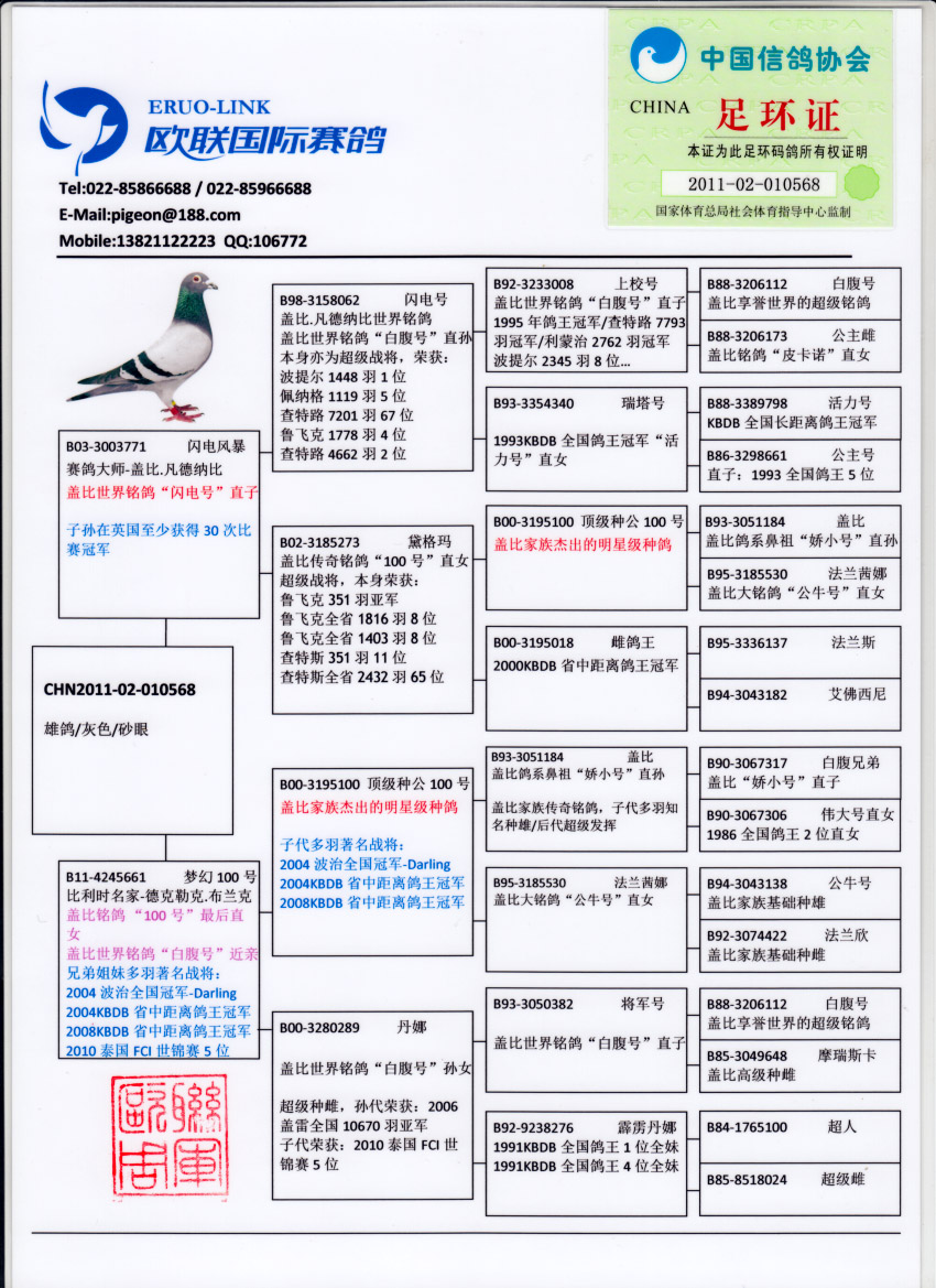 赛鸽血统书