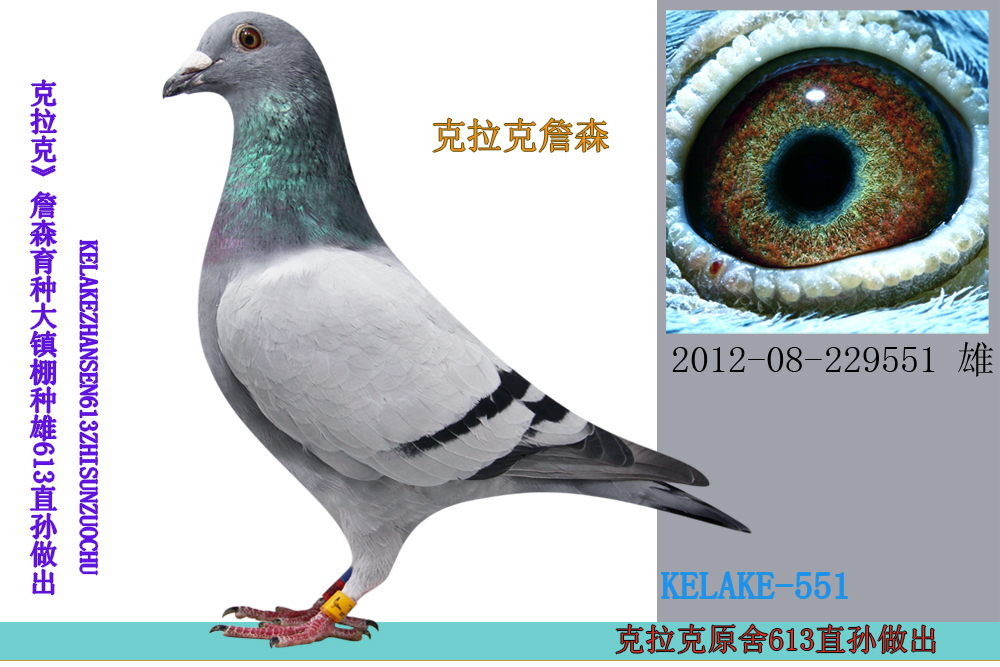 >> 查看拍卖商品