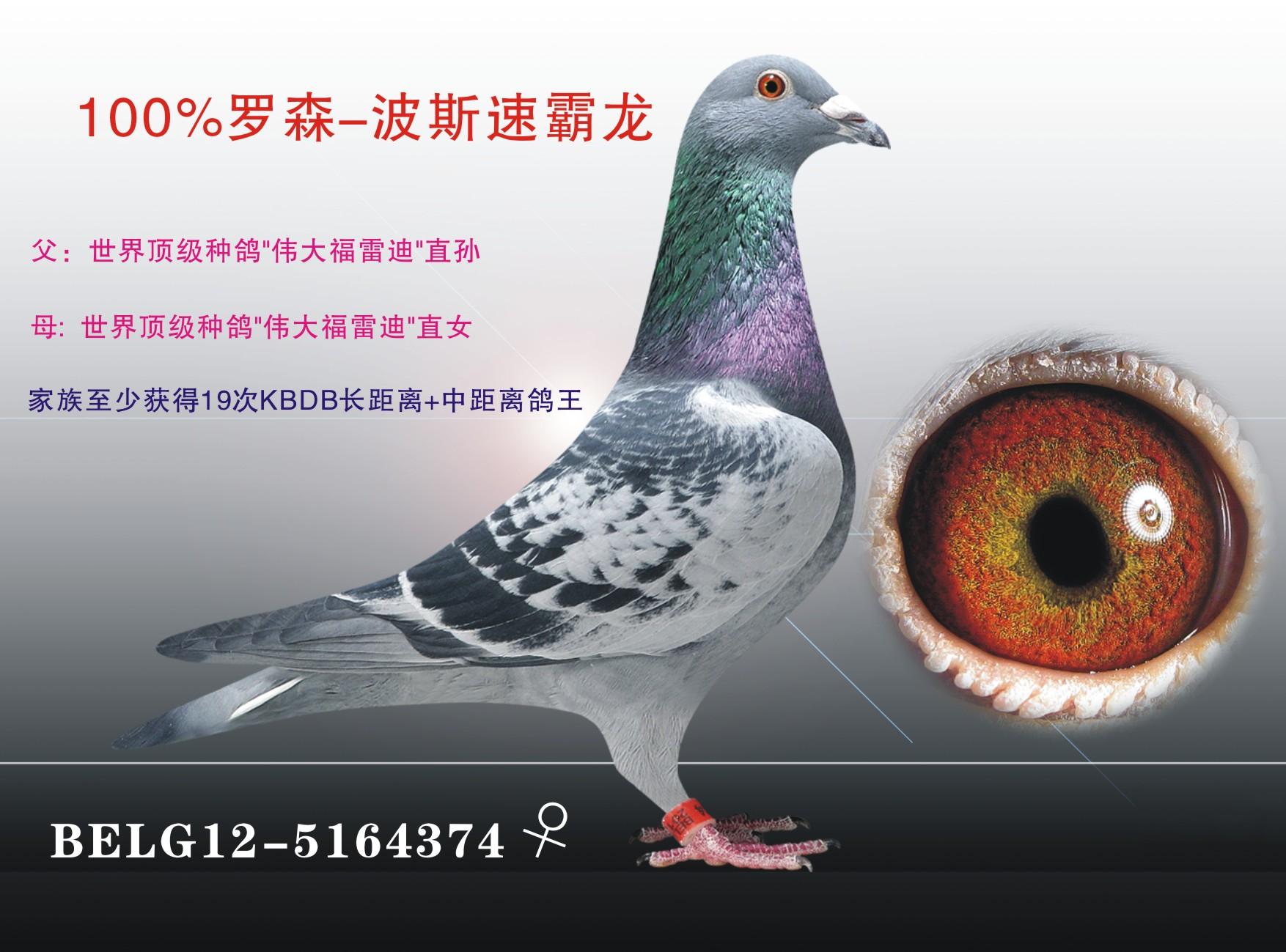 100%罗森.波斯-2 保证金级 拍卖