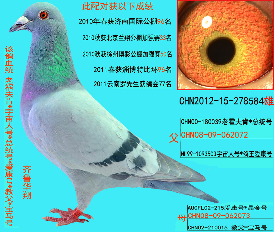 老霍夫肯*爱康号*甘纳斯699 保证金级 拍卖
