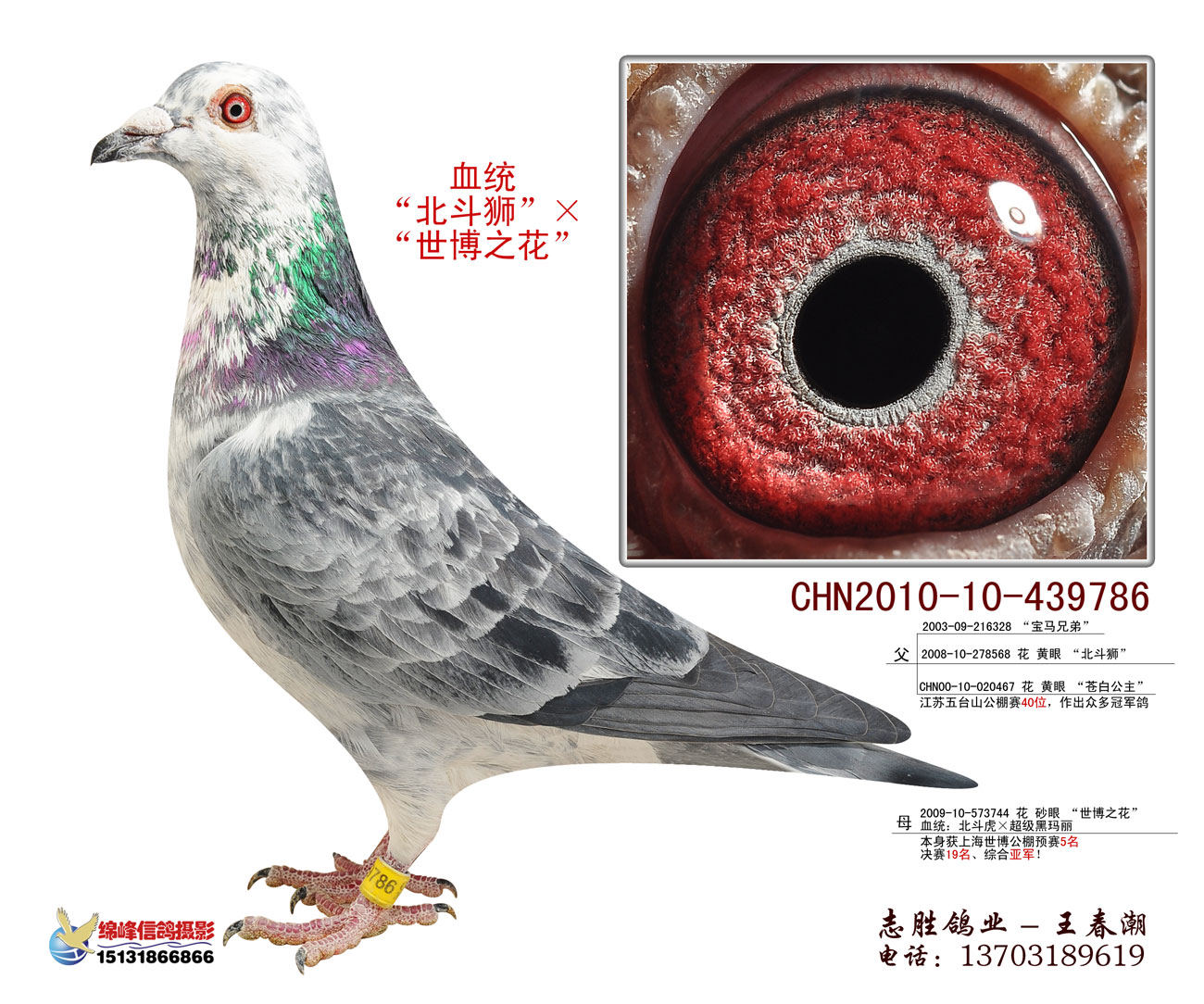 苍白 陈嘉汇作出 保证金级 拍卖