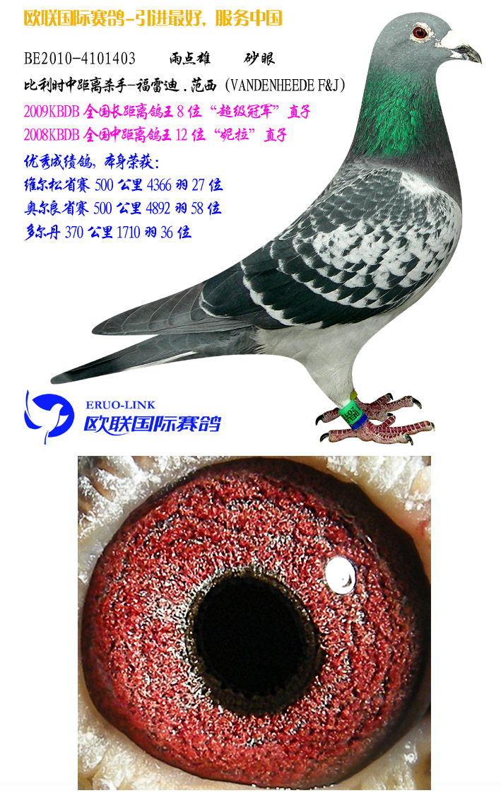 福雷迪.范西最新-13 保证金级 拍卖