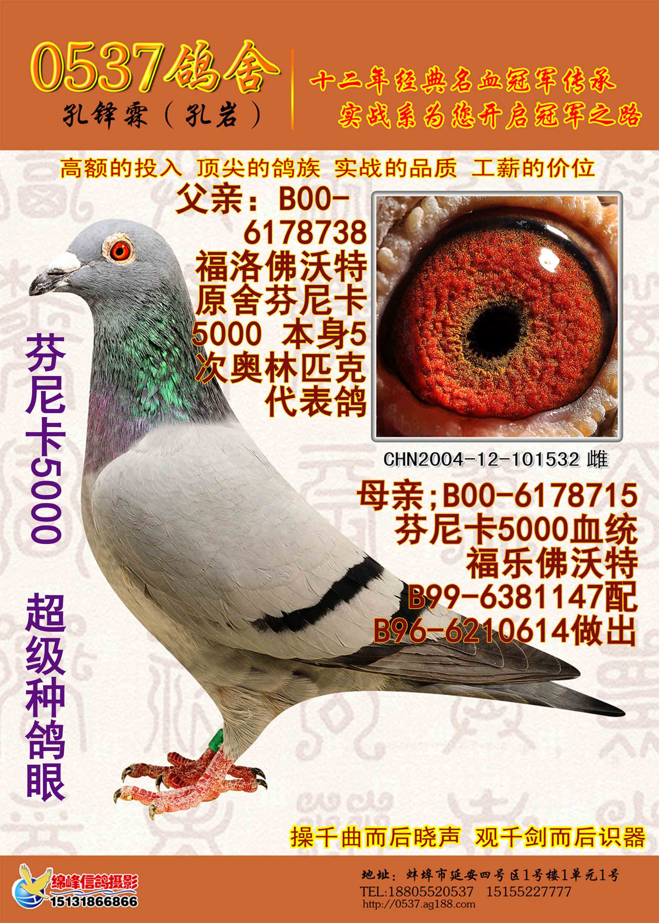 芬尼卡5000 超级种鸽眼 保证金级 拍卖