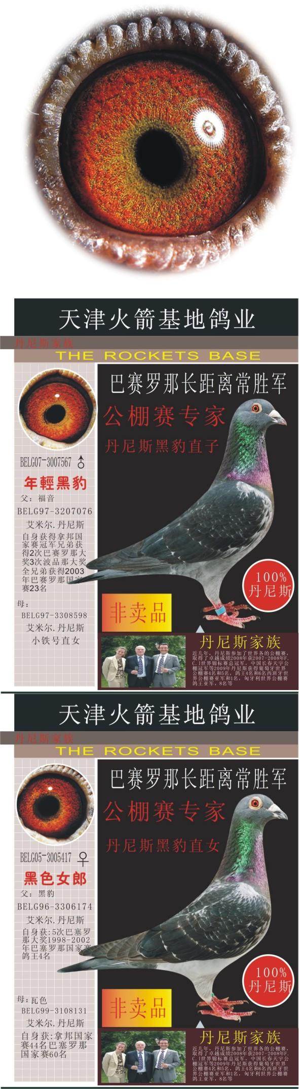 天津火箭基地鸽业 - 中信网铭鸽展厅 www.ag188.com