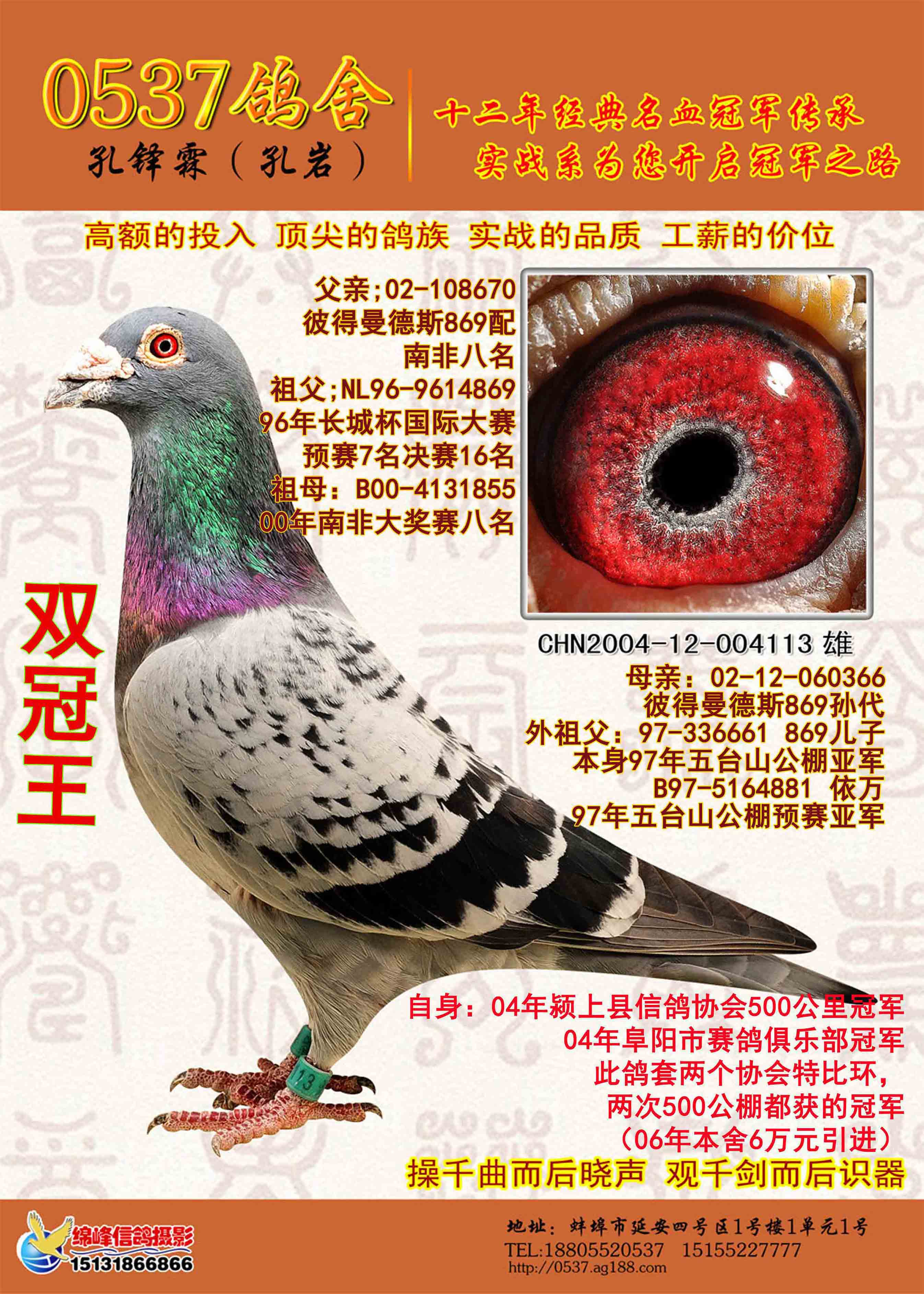 无价之宝869配芬尼卡5000 保证金级 拍卖