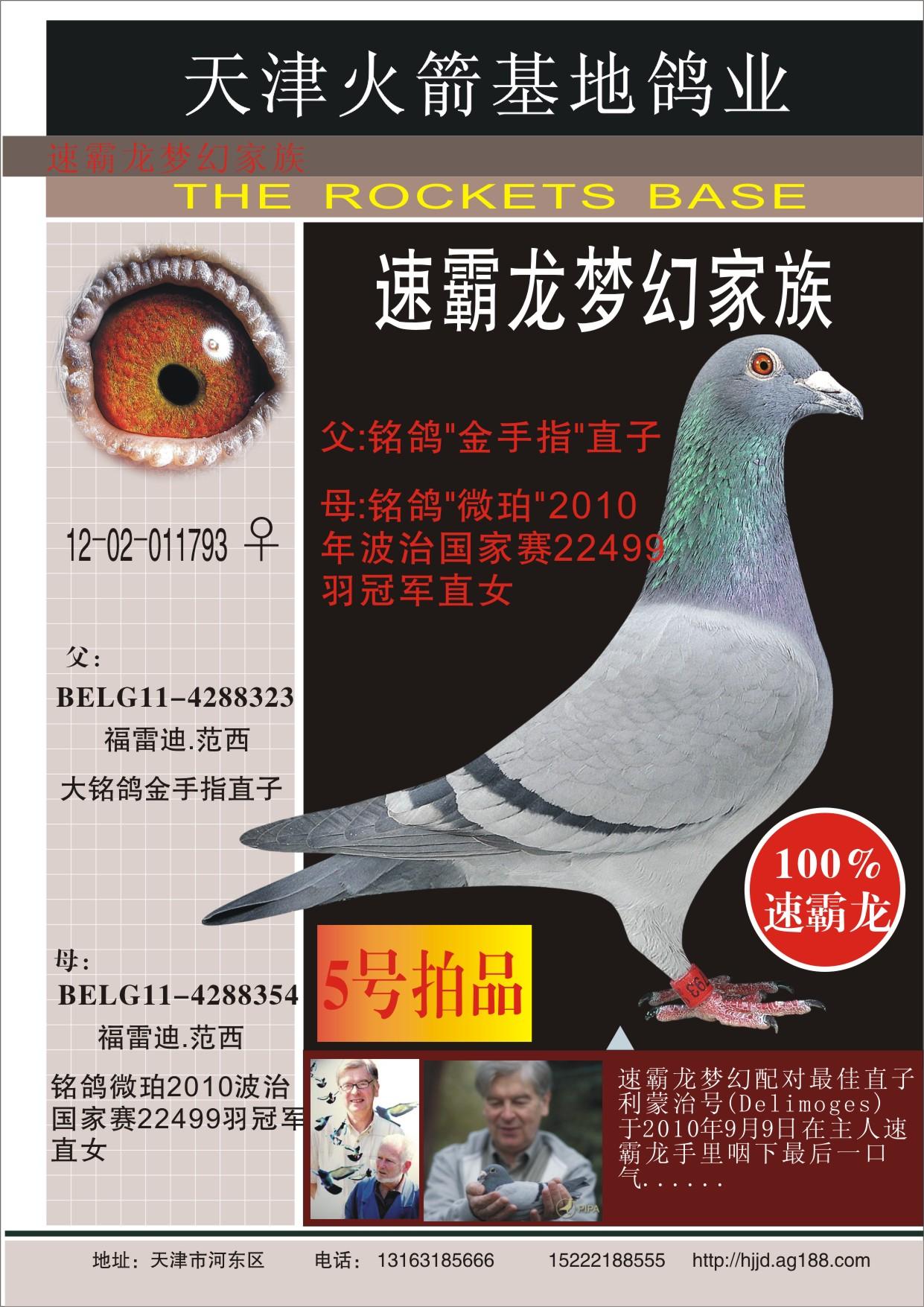 天津火箭基地鸽业 - 中信网铭鸽展厅 www.ag188.com