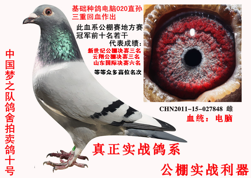 实战电脑毛脚 保证金级 拍卖