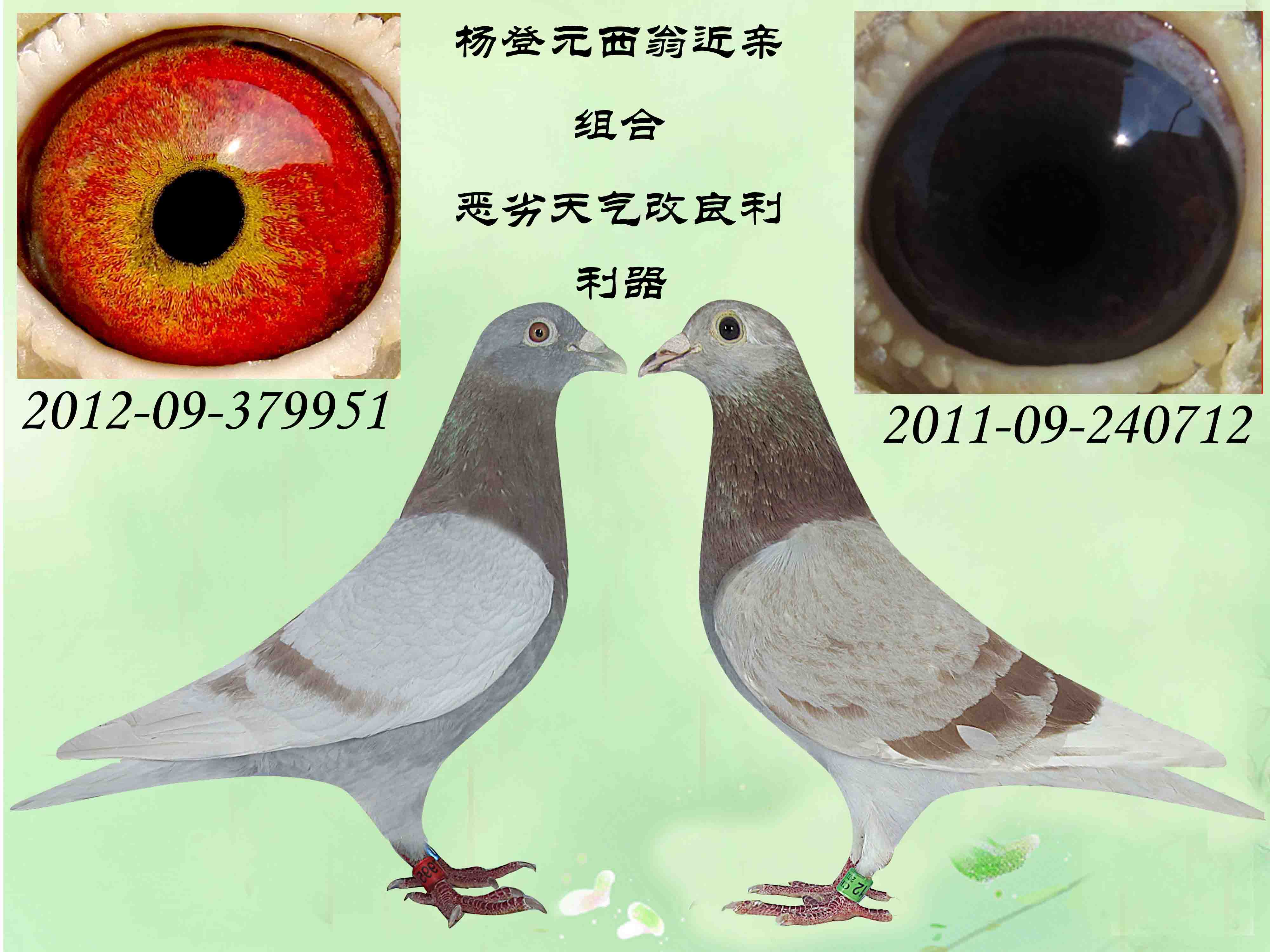 查看拍卖商品