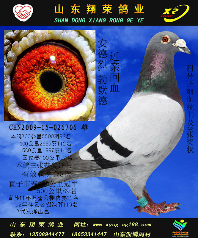 翔荣.秘密武器 安德烈.勃默德 保证金级 拍卖
