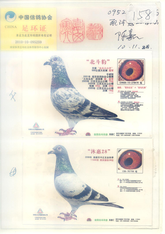 >> 查看拍卖商品