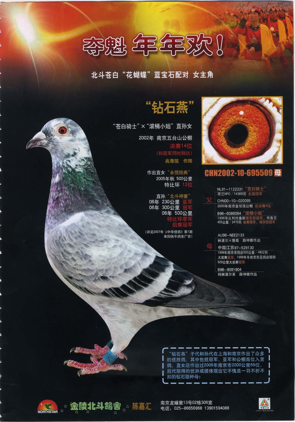北斗陈嘉汇北斗钻石凤-白马王子x钻石燕 保证金级 拍卖