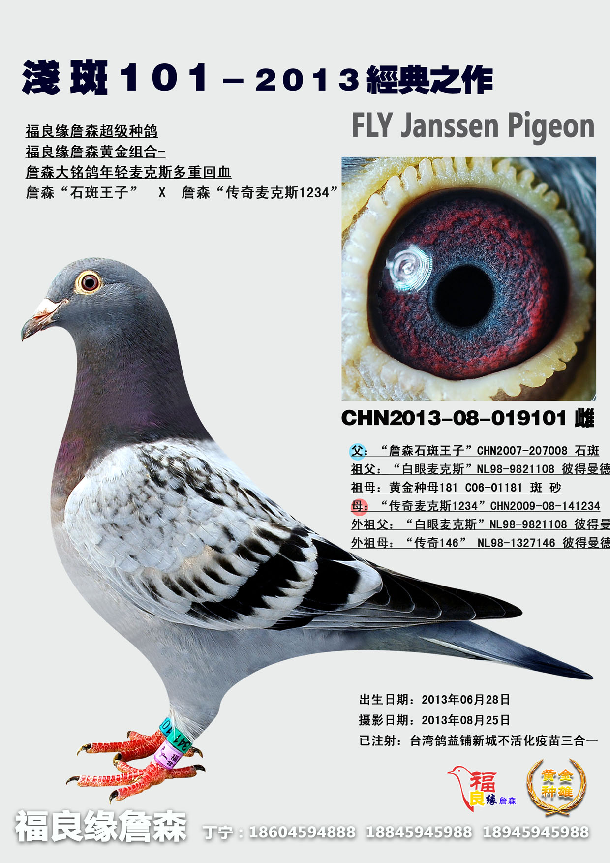 詹森年轻麦克斯多重回血 保证金级 拍卖