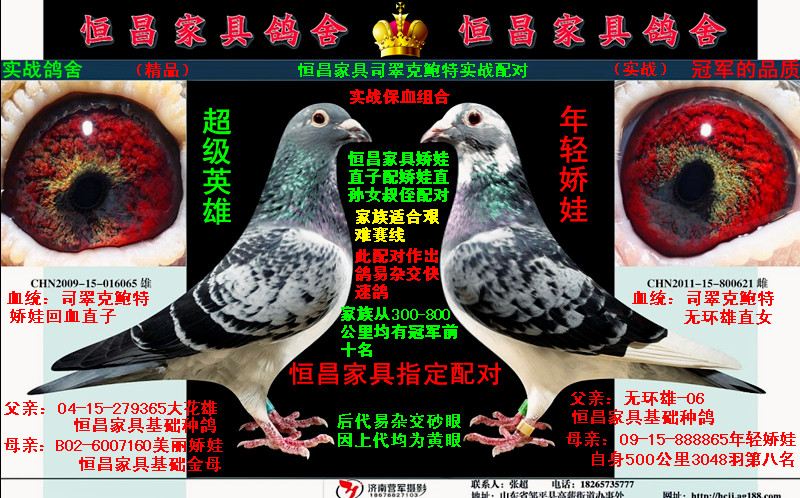 恒昌家具司翠克鲍特实战配对 保证金级 拍卖