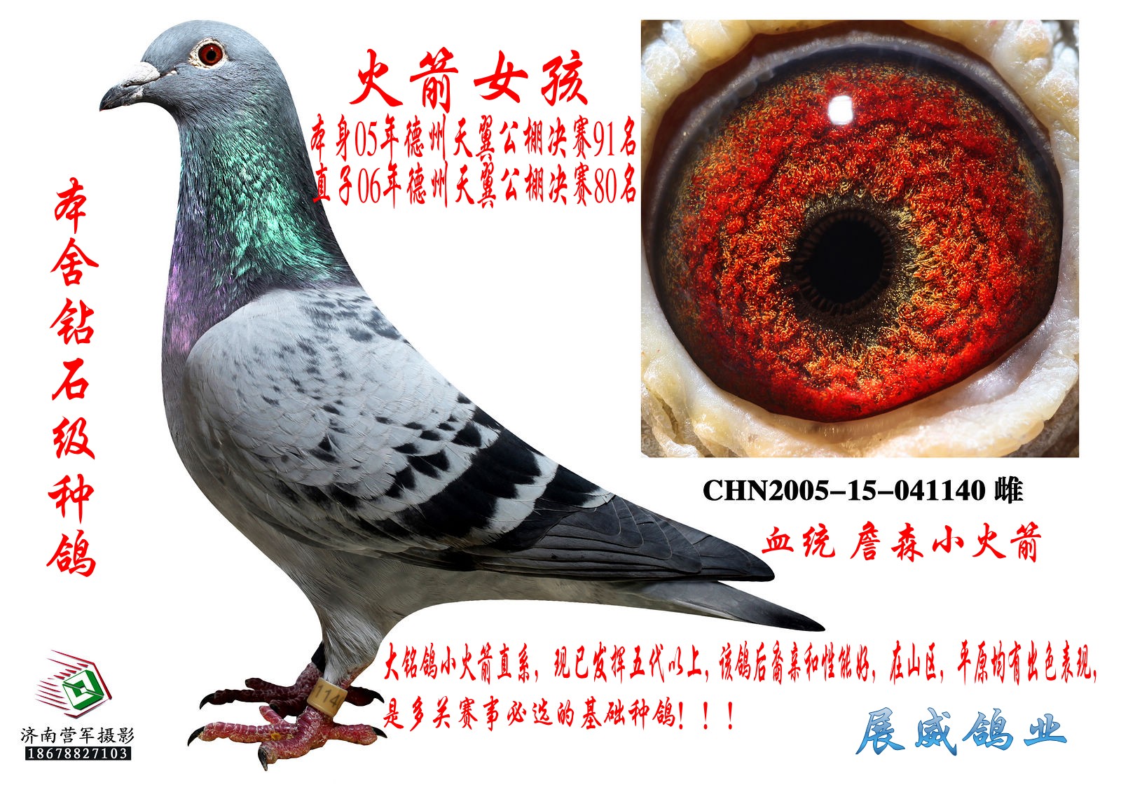 火箭女孩直子 保证金级 拍卖