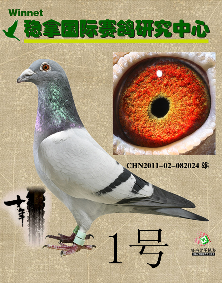马克罗森斯富流号高代近血 保证金级 拍卖