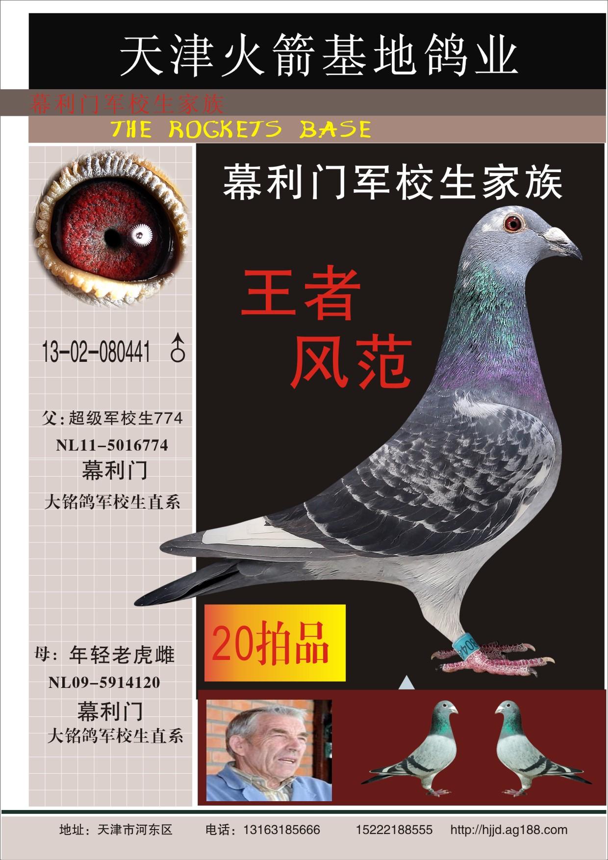 幕利门军校生 保证金级 拍卖