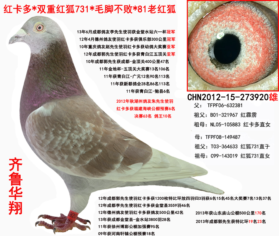 红卡多*红狐731 保证金级 拍卖