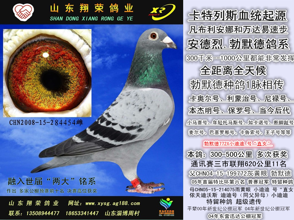 >> 查看拍卖商品