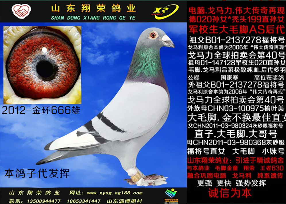 >> 查看拍卖商品