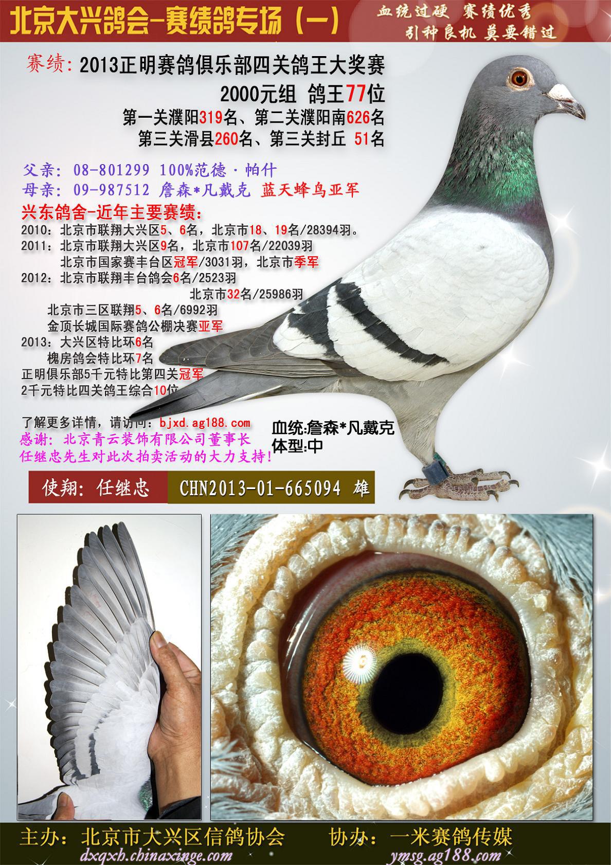 正明四关综合鸽王77位-任继忠 保证金级 拍卖