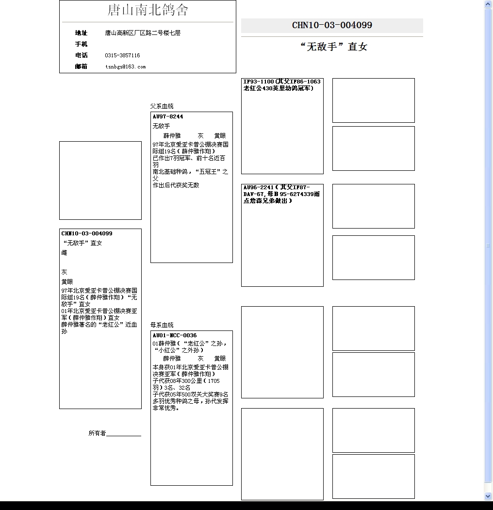 薛仲雅"无敌手"直女 保证金级 拍卖