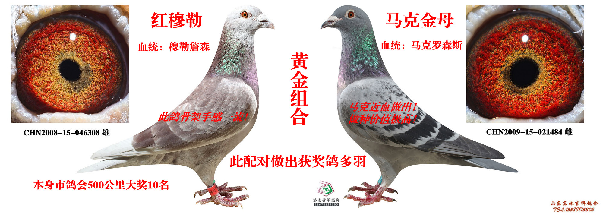 穆勒詹森x马克罗森斯 保证金级 拍卖