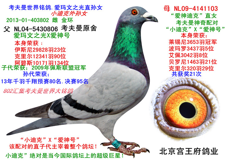 6-世界铭考夫曼.