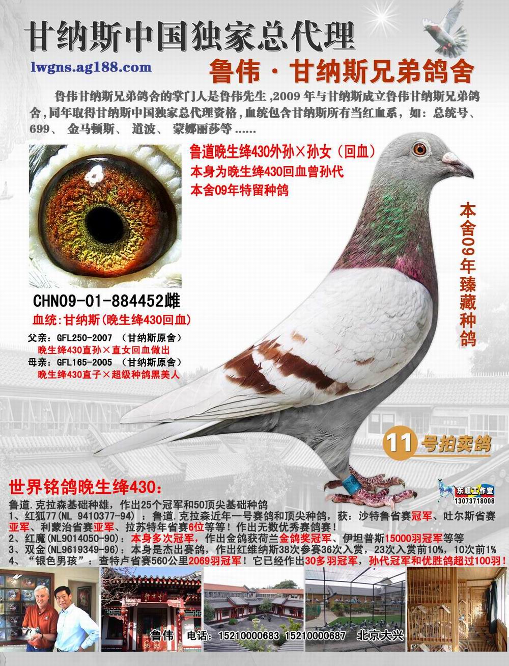 首 页  铭 鸽  新鸽上架  推荐铭鸽  定价鸽  信鸽拍卖 黄金配对