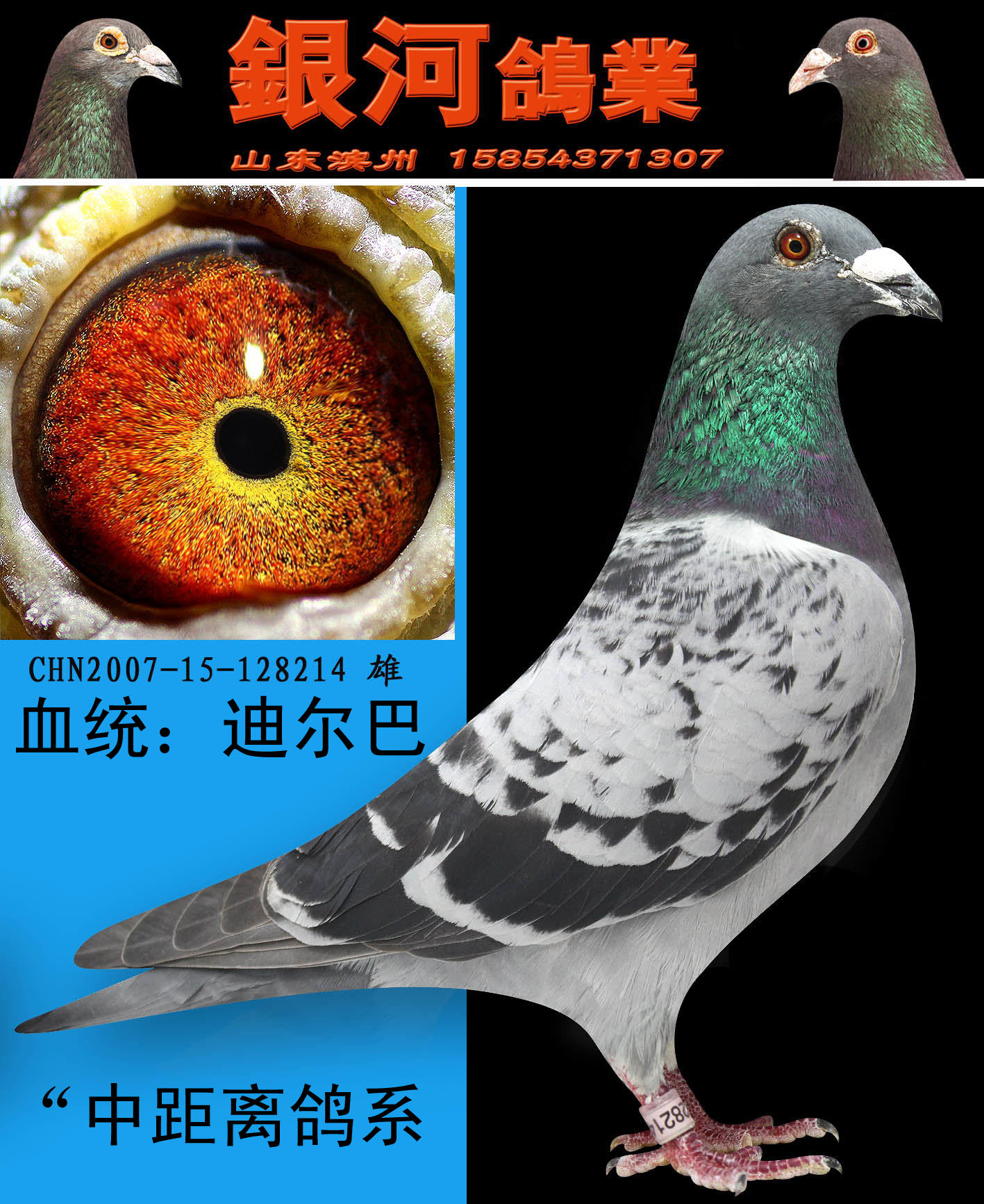 詹森x狄二巴 保证金级 拍卖