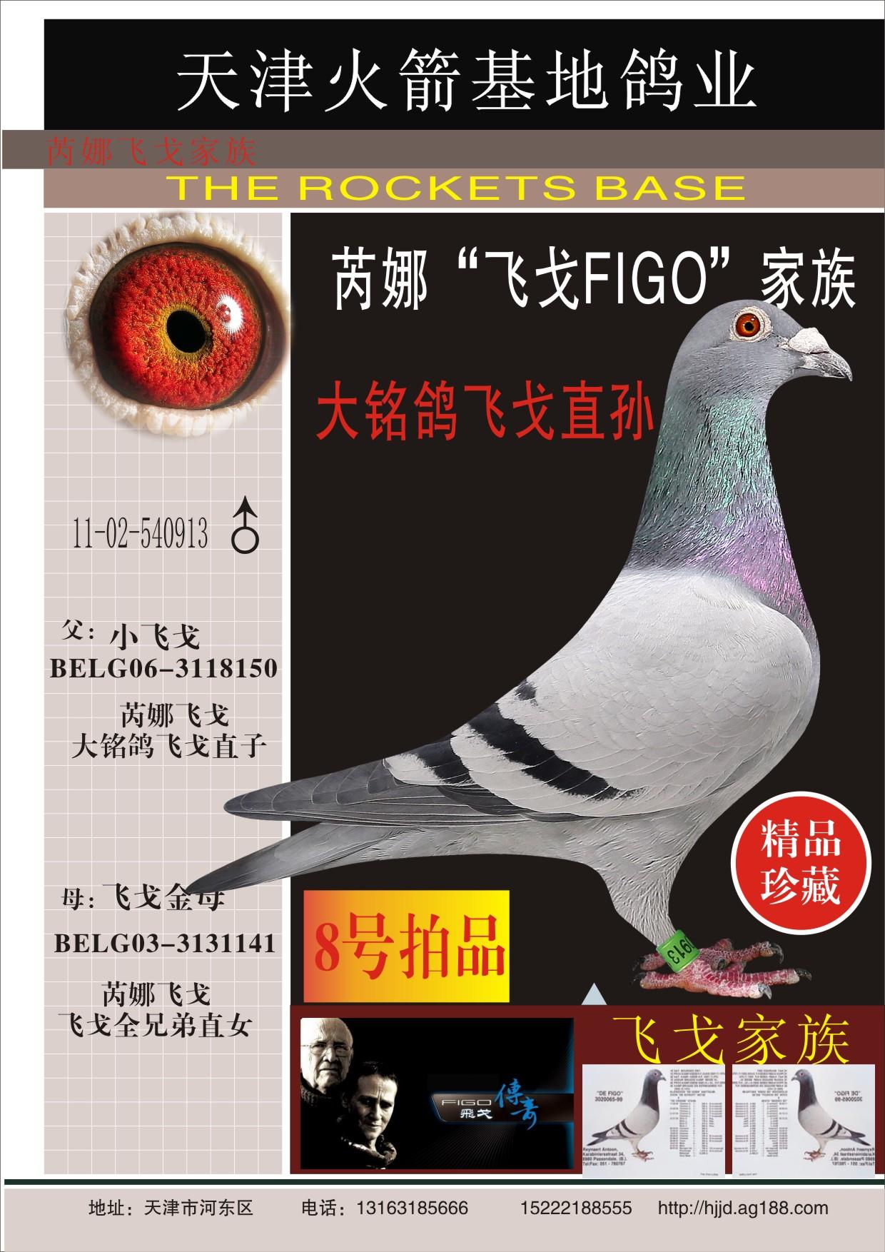 天津火箭基地鸽业 - 中信网铭鸽展厅 www.ag188.com