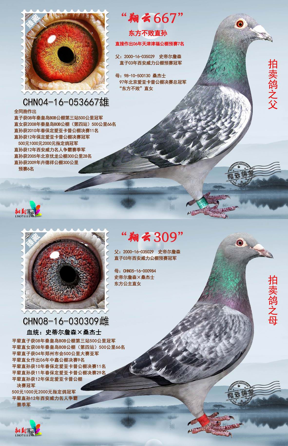 >> 查看拍卖商品