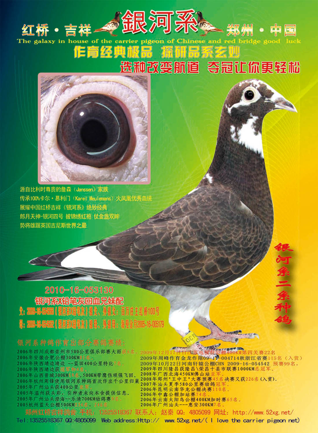 银河系 慕利门之火凤凰x海尔曼铅笔灰 保证金级 拍卖