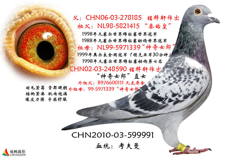 考夫曼秦始皇直孙 保证金级 拍卖