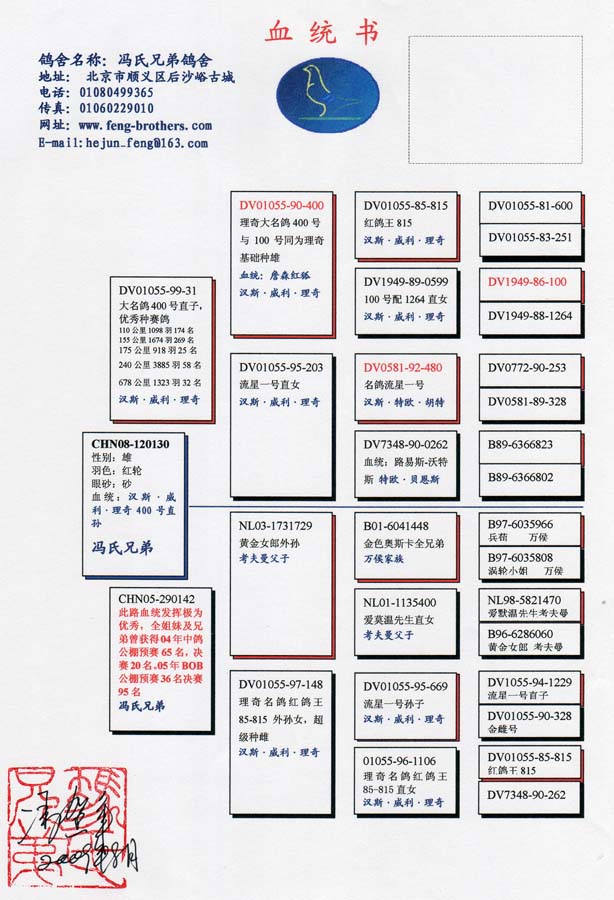 信鸽在线拍卖平台 - 中国信鸽信息网