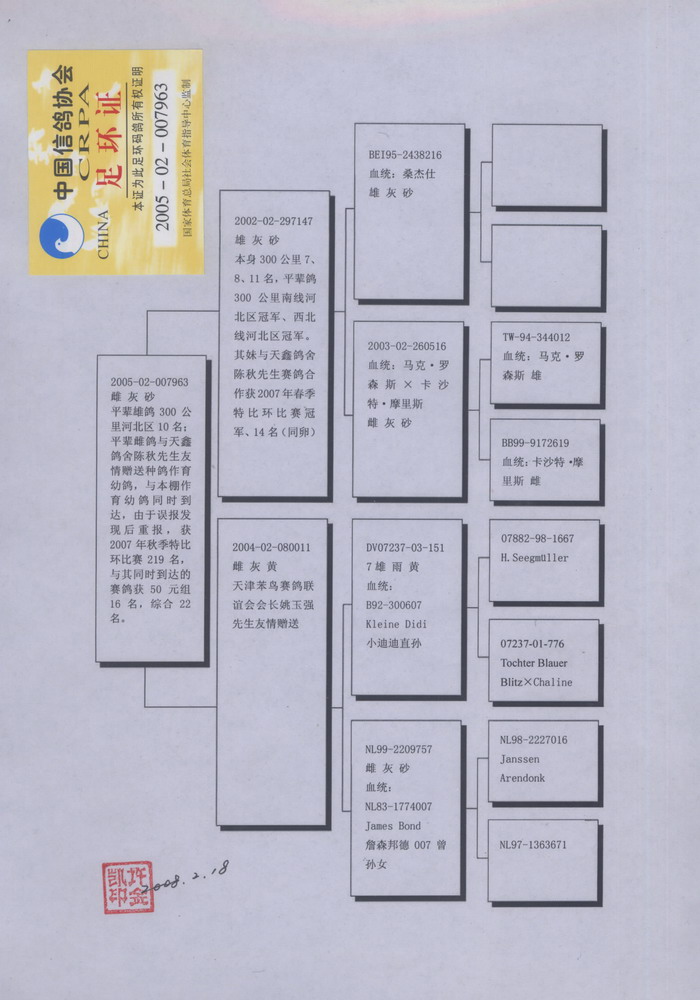 许金凯捐赠种鸽 保证金级 拍卖