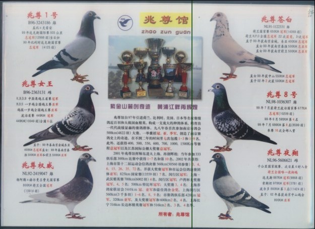 中国兆尊馆血统书