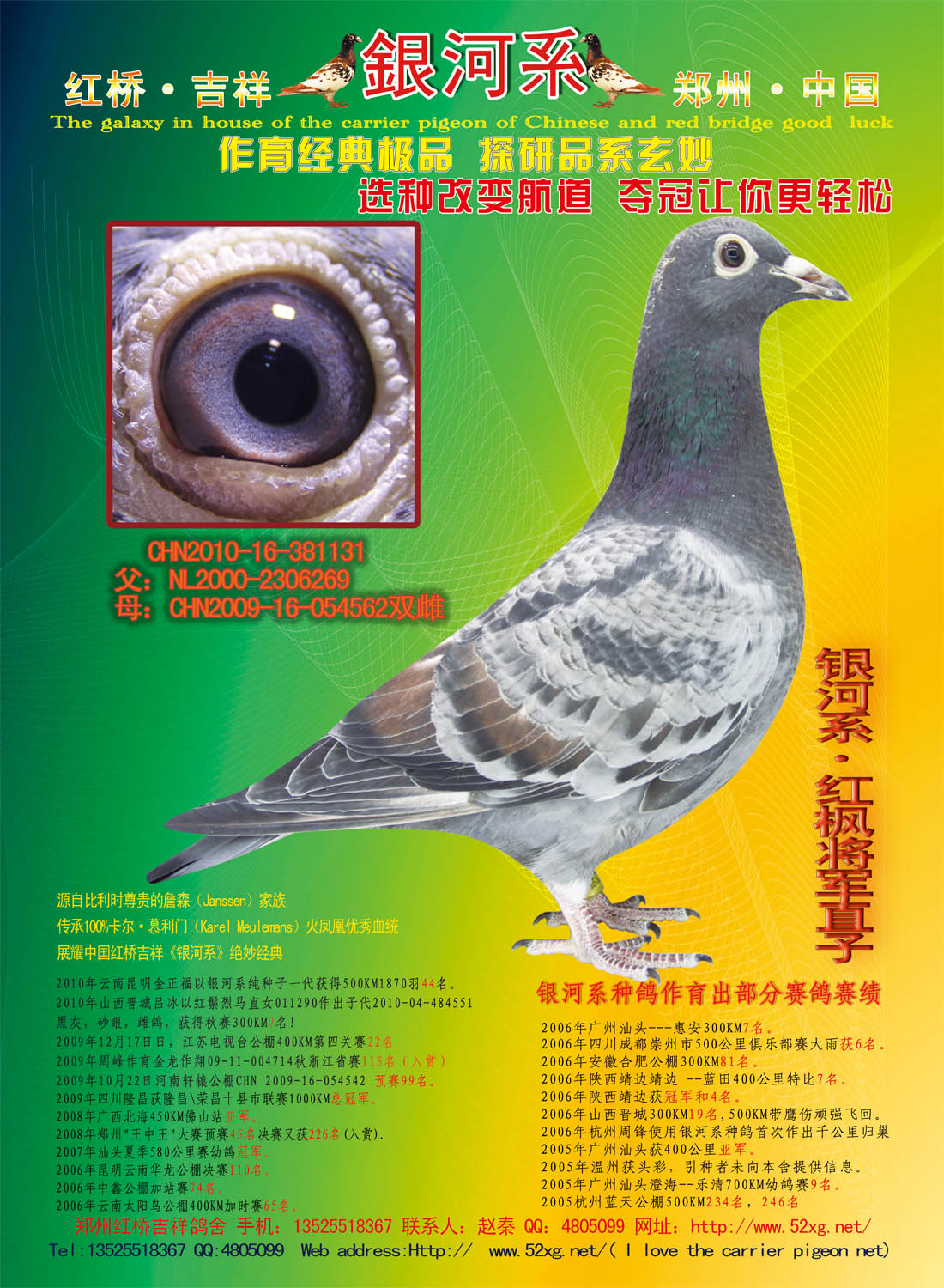 >> 查看拍卖商品