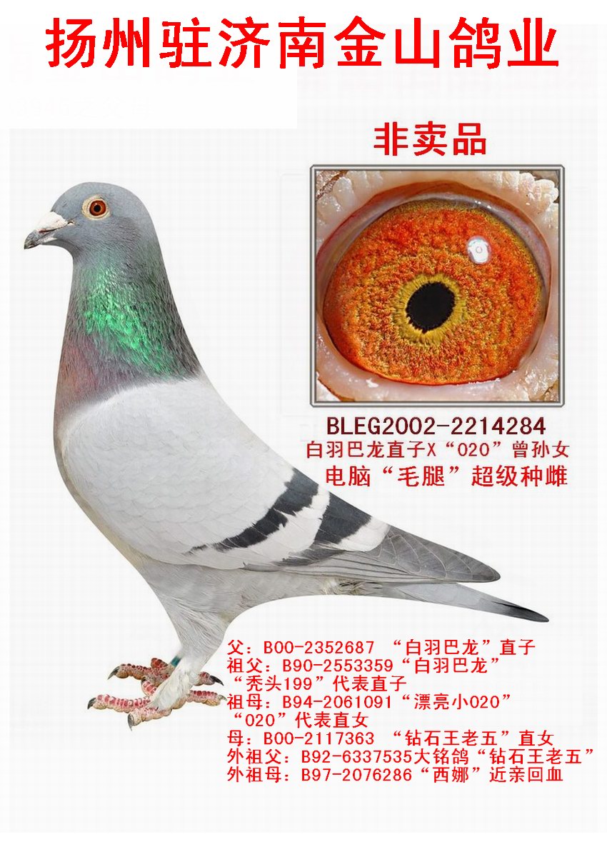 >> 查看拍卖商品